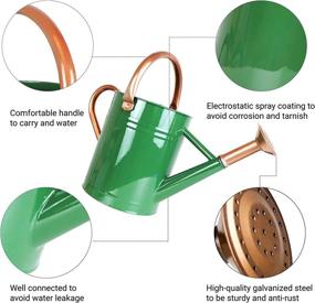 img 2 attached to 1 Gallon Galvanized Steel Watering Can With Removable Spout - Ideal For Indoor And Outdoor Plants