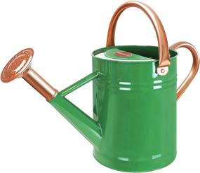 img 4 attached to 1 Gallon Galvanized Steel Watering Can With Removable Spout - Ideal For Indoor And Outdoor Plants