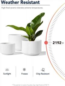 img 1 attached to Ceramic Plant Pots Set Of 3 - Large Planter Sizes 9.3, 8, 6.7 Inches For Indoor/Outdoor Garden Plants With Drainage Holes - Modern White Cylinder Planter For Home Decor From LE TAUCI