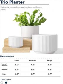 img 2 attached to Ceramic Plant Pots Set Of 3 - Large Planter Sizes 9.3, 8, 6.7 Inches For Indoor/Outdoor Garden Plants With Drainage Holes - Modern White Cylinder Planter For Home Decor From LE TAUCI