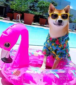 img 1 attached to Parisian Pet Summer Hawaiian Tropical Dogs