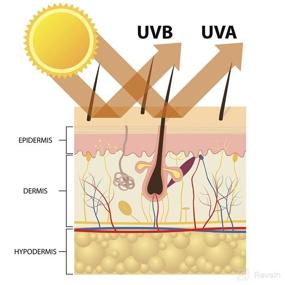 img 3 attached to 🌞 YEALIR Sunscreen: All-Natural Brightening & Petroleum-Free Protection