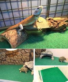 img 1 attached to 🦎 HERCOCCI Reptile Carpet: Premium Terrarium Bedding & Cage Mat for Reptiles - Ideal Supplies for Bearded Dragon, Lizard, Tortoise, Gecko, Snake