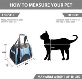 img 3 attached to 🐾 Tecageaon Airline Approved Pet Carrier for Medium Small Cats, Small Puppy and Kitten - Convenient Dog Cat Travel Carrier