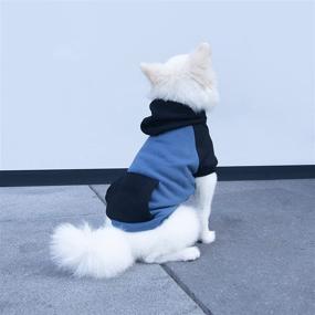 img 1 attached to 👕 SZAT PRO Teacup Dog Hoodies, 100% Cotton Puppy Clothes for Small Dogs and Cats, Chihuahua Clothes Pullover Sweaters for Petite Dog Boys and Girls - Blue, XXX-Small Size