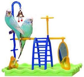 img 3 attached to 🐦 JW Pet Company Activitoys Play Gym Bird Toy - 12x8x11.5 - 31040