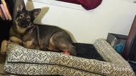 img 1 attached to 🐶 Furhaven Large Gray Plush & Suede Sofa-Style Dog Bed Replacement Cover review by Eric Webb