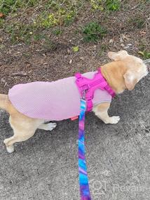 img 8 attached to KYEESE 2 Pack Рубашки для собак Собаки Дышащий мгновенный жилет для собак Легкий для летней одежды для собак (средний (упаковка из 2), розовый + серый)