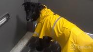 картинка 1 прикреплена к отзыву Оставайтесь стильными и в безопасности под дождем с плащом для собак NINEMAX - регулируемая куртка для домашних животных со светоотражающей полосой для средних и крупных собак от Jimmy Breaux