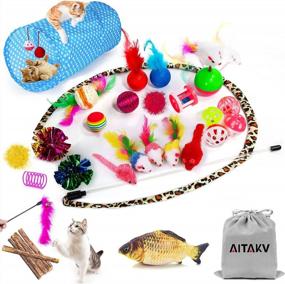 img 4 attached to AILUKI 31 PCS Cat Toys Kitten Toy Assortment Set - 2 Way Tunnel, Feather Teaser, Fish, Mice, Balls And Bells For Cats Puppies & Kitties