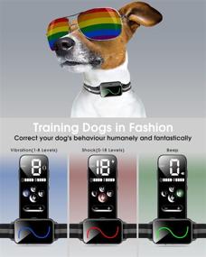 img 3 attached to FATEAR Dog Training Collar: 2600FT Remote Range, Fashionable Electronic Collar with Beep/Vibration/Shock, Security Lock & Waterproof Design