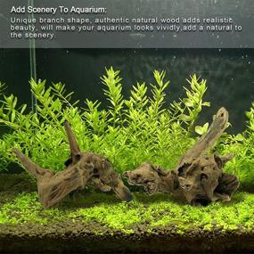 img 3 attached to Tfwadmx Aquarium Driftwood Decoration Terrarium Fish & Aquatic Pets