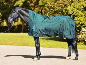 img 1 attached to CHALLENGER Turnout Waterproof Winter Blanket Horses ~ Horse Blankets & Sheets