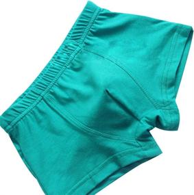 img 3 attached to Forusky Toddler Training 🩳 Underpants for Boys - Clothing Underwear