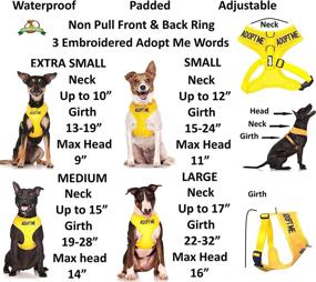 img 2 attached to 🐶 Dexil Limited Adopt ME (I Need A New Home) Yellow Color Coded Non-Pull Dog Vest Harness with Front and Back D Rings, Padding, and Waterproof Design - Alert Others about Your Dog in Advance, Prevent Accidents