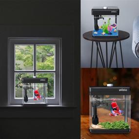 img 3 attached to Impressive iPriro 1.5 Gallon Glass Betta Aquarium Starter Kit: LED 🐠 Light, Temp Display, Top Filtration, Gravel Cleaners & Cleaner Tool 4 in 1