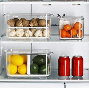 img 3 attached to Elabo Food Storage Containers For Fridge - Stackable Produce Saver Organizer With Lids And Drain Tray For Vegetables, Berries, And Fruits, 1 Medium And 1 Large Drawer Bin Basket