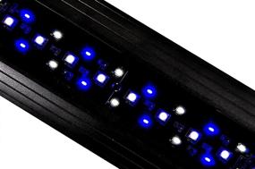 img 2 attached to 🐠 Finnex Marine+ 24/7 SE Advanced Aquarium LED Lighting System with Remote Control