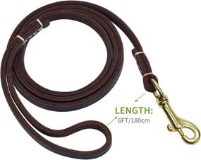 img 2 attached to LUXACO Genuine Leather Dog Leashes - 4ft, 5ft, 6ft Lengths for Medium/Small Dogs - Training/Walking Leash in Water Resistant Full Grain Leather (Black/Brown)