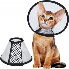 img 4 attached to Vivifying Cat Cone, Adjustable Recovery Pet Cone, 6.1 Inches Lightweight Plastic Elizabethan Collar For Small Cats, Kittens, Rabbits And Mini Dogs (Black)
