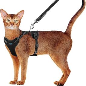 img 4 attached to 🐱 Adjustable Cat Harness and Leash Set - Escape Proof with Reflective Trim - Ideal for Small to Large Cats - Universal Kitten Harness - Perfect for Outdoor Walking - Supet Cat Harness and Leash Set for Cats and Puppies