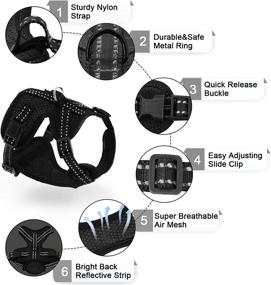 img 3 attached to 🐱 Adjustable Cat Harness and Leash Set - Escape Proof with Reflective Trim - Ideal for Small to Large Cats - Universal Kitten Harness - Perfect for Outdoor Walking - Supet Cat Harness and Leash Set for Cats and Puppies