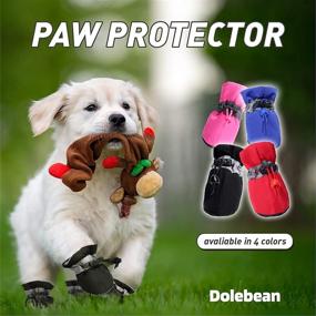 img 3 attached to 🐾 Ultimate Paw Protection: Anti-Slip Dog Shoes for Small to Medium Dogs & Puppies on Hot Pavement. Keep Their Paws Safe in Summer!