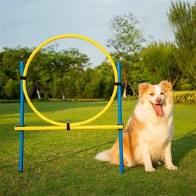 img 4 attached to Yiotl Agility Training Equipment Obstacle