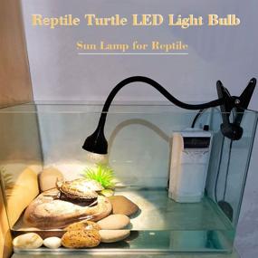 img 1 attached to 10 0 Reptile Turtle Light Reptiles