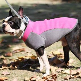 img 1 attached to 🐕 ACKERPET Stretch Dog Fleece Vest: Warm Winter Coat for Small Medium Dogs (S, Pink)