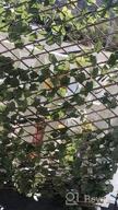 img 1 attached to Expandable Faux Ivy Privacy Screen With Single-Sided Leaves By Windscreen4Less review by Nick Walker