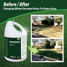 img 3 attached to Endurant Lawn Paint Concentrated Green Grass Paint For Lawn And Fairway Treats Up To 10K Square Feet Of Dry Or Patchy Lawn – Pet Friendly Eco-Friendly Lawn Spray Paint, Grass Dye For Lawn