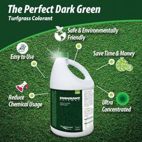 img 1 attached to Endurant Lawn Paint Concentrated Green Grass Paint For Lawn And Fairway Treats Up To 10K Square Feet Of Dry Or Patchy Lawn – Pet Friendly Eco-Friendly Lawn Spray Paint, Grass Dye For Lawn
