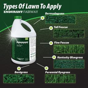 img 2 attached to Endurant Lawn Paint Concentrated Green Grass Paint For Lawn And Fairway Treats Up To 10K Square Feet Of Dry Or Patchy Lawn – Pet Friendly Eco-Friendly Lawn Spray Paint, Grass Dye For Lawn