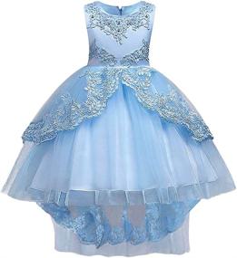 img 4 attached to 👗 HUAANIUE Girls Pageant Wedding Flower Girls' Dresses - Clothing