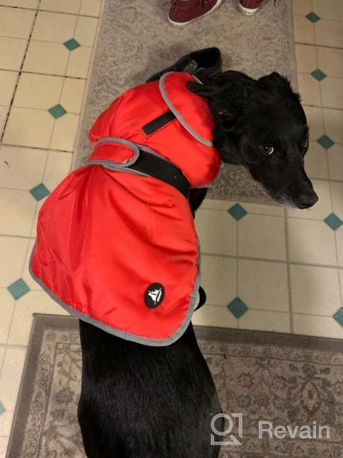 img 1 attached to Waterproof Reflective Winter Dog Jacket With Reversible Stormguard, Windproof Coat For Cold Weather, Warm Coat Vest For Small, Medium, Large Dogs - Red (Size S) By MIGOHI review by Marcus Hussain