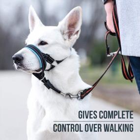 img 3 attached to Stop Heavy Pulling With GoodBoy Dog Head Halter - Padded Collar For Small, Medium, And Large Dogs - Safety Strap Included - Training Guide For Effective Leash Control - Size 2, Blue