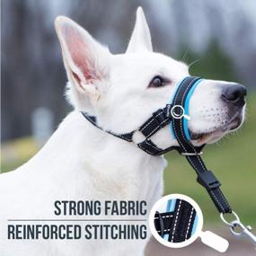 img 1 attached to Stop Heavy Pulling With GoodBoy Dog Head Halter - Padded Collar For Small, Medium, And Large Dogs - Safety Strap Included - Training Guide For Effective Leash Control - Size 2, Blue