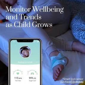 img 1 attached to 🧦 Owlet Extended Fabric Sock Pack: Monitor Usability 18 Months to 5 Years, Green