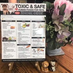 img 1 attached to 🐶 TLC Safety By Design: Premium Toxic & Safe Foods Poison for Pets - Veterinarian Approved, Large Format Refrigerator Safety Magnet (Quantity 1)