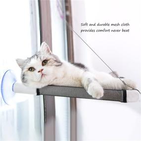 img 3 attached to 🐱 SidinGeng Extra Large Cat Window Perch Hammock – Sturdy Window Seat Bed for Cats Holding up to 38lbs – 360 Degree Sunbathing & Viewing – Easy Assembly – Black (Mesh Cloth Cat Window Perch)