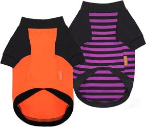 img 3 attached to 🎃 KYEESE Halloween Dog Shirts: 2 Pack Holiday Theme Pumpkin Striped T-Shirts for Small Dogs - Lightweight, Stretchy, Soft Material!