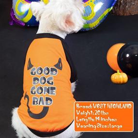 img 2 attached to 🎃 KYEESE Halloween Dog Shirts: 2 Pack Holiday Theme Pumpkin Striped T-Shirts for Small Dogs - Lightweight, Stretchy, Soft Material!