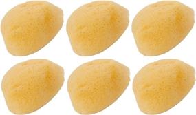 img 1 attached to Zoo Med Pack Hermit Sponges