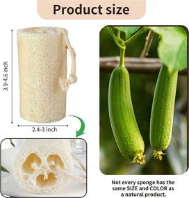 img 1 attached to 🌿 Exfoliating Appearance Natural Loofah Sponge for Optimal Skin Care