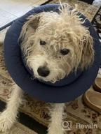 img 1 attached to Comfortable And Water-Resistant Pet Recovery Collar: Adjustable Neck Donut E-Collar For Small And Medium Dogs And Cats After Surgery In Navy (Size S) review by Jose Ballard