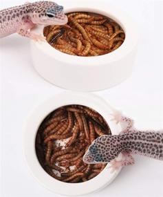 img 3 attached to 🦎 ZYYRT Ceramic Reptile Food Water Bowl: Anti-Escape Mealworms Bowls for Various Reptiles and Crustaceans - 2Pcs Lizard Worm Dish for Bearded Dragon, Chameleon, and Hermit Crab Feeding