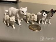 img 1 attached to Bring The Forest To Life: Realistic 10-Piece Animal Figures Set For Kids' Creative Play And Diorama Projects review by Rick Marie