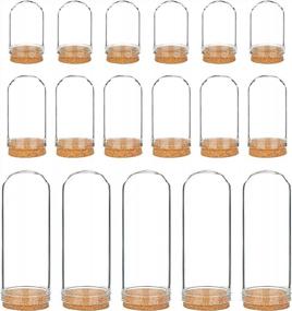 img 4 attached to 24 Pack Glass Jars Bottles With Dome Cloche Cover And Cork Stoppers For Party Favors, Arts & Small Projects - BENECREAT