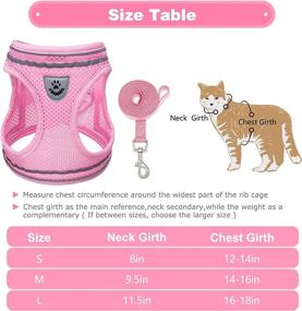 img 3 attached to 🐱 Escape Proof Cat Harness and Leash Set - PUPTECK Breathable Vest for Outdoor Walking - Reflective Adjustable Soft Mesh Kitty Puppy Harness, Easy Control